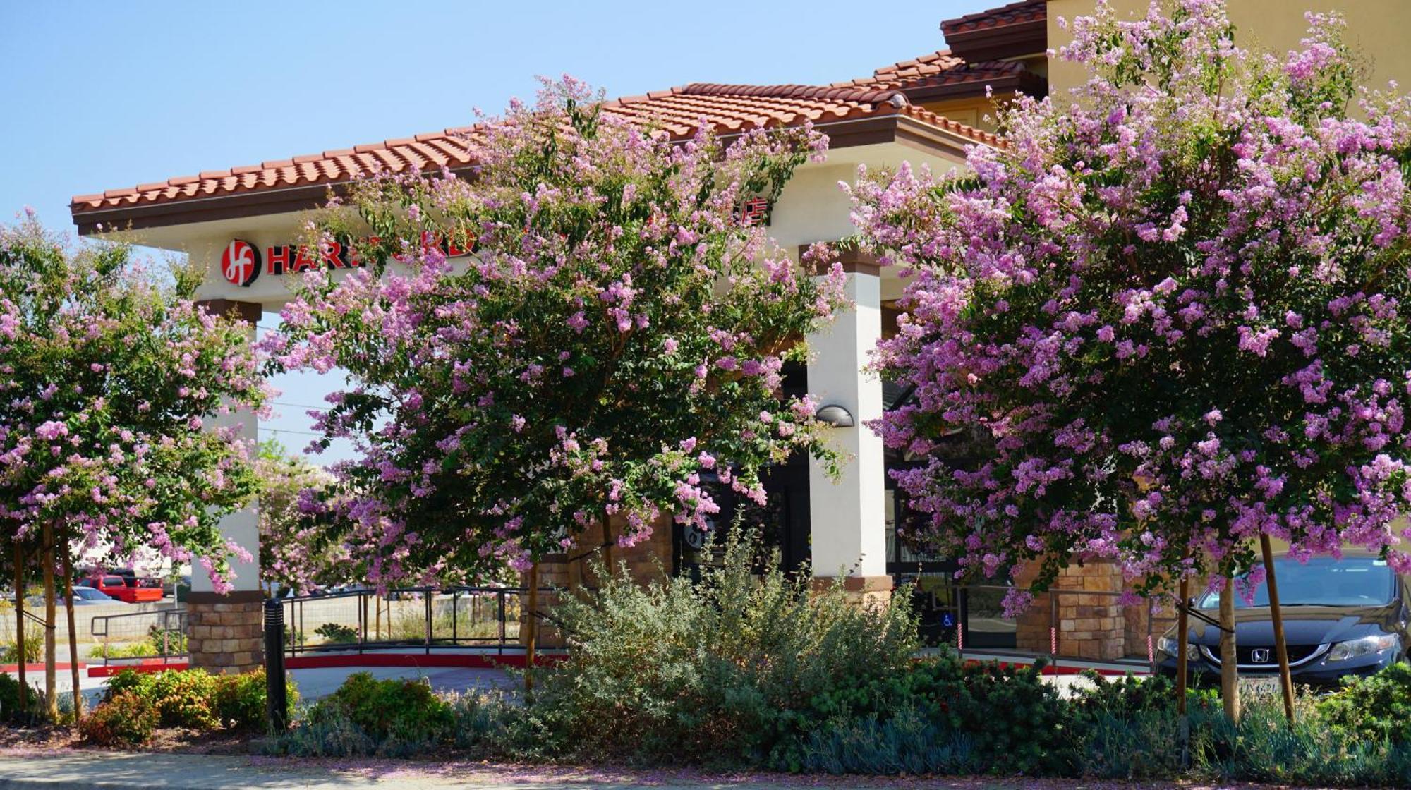 Hartford Hotel Best Western Signature Collection Rosemead Exterior photo